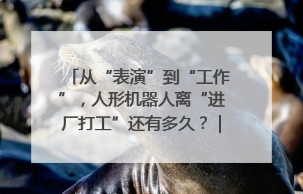 从“表演”到“工作”，人形机器人离“进厂打工”还有多久？｜机器人商业新纪元