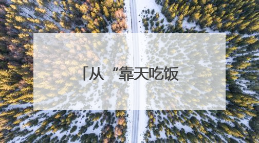 从“靠天吃饭”到“云端种地”！莱芜区“空天地网”织出数字农业新图景