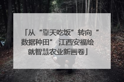 从“靠天吃饭”转向“数据种田” 江西安福绘就智慧农业新画卷