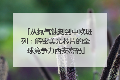 从氮气蚀刻到中欧班列：解密美光芯片的全球竞争力西安密码