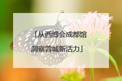 从西博会成都馆洞察蓉城新活力
