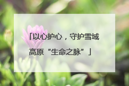 以心护心，守护雪域高原“生命之脉”