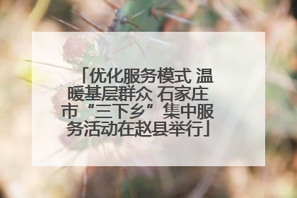优化服务模式 温暖基层群众 石家庄市“三下乡”集中服务活动在赵县举行
