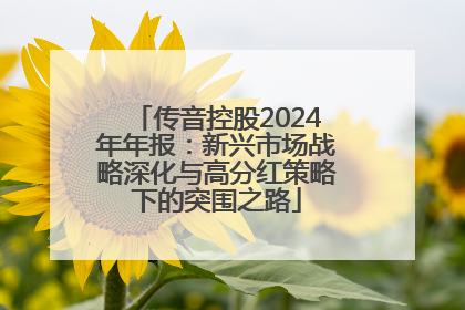 传音控股2024年年报：新兴市场战略深化与高分红策略下的突围之路