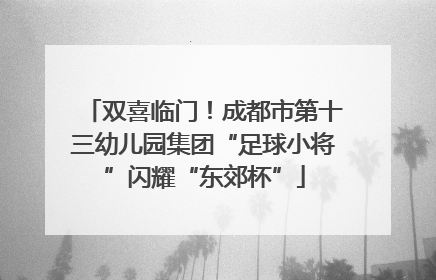 双喜临门！成都市第十三幼儿园集团“足球小将”闪耀“东郊杯”