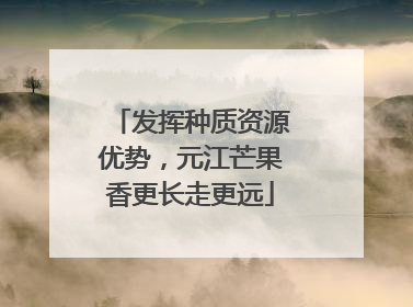 发挥种质资源优势，元江芒果香更长走更远