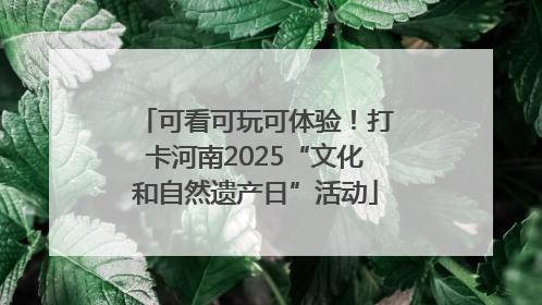 可看可玩可体验！打卡河南2025“文化和自然遗产日”活动