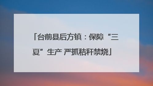 台前县后方镇：保障“三夏”生产 严抓秸秆禁烧