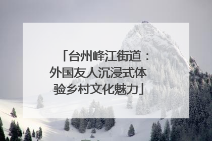 台州峰江街道：外国友人沉浸式体验乡村文化魅力