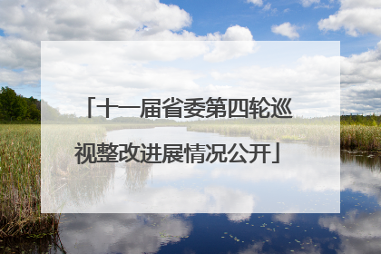 十一届省委第四轮巡视整改进展情况公开
