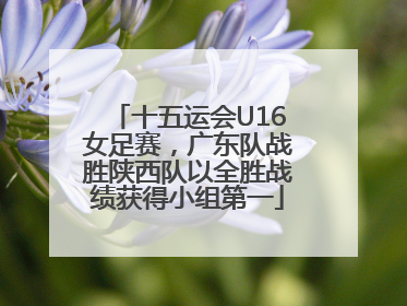 十五运会U16女足赛，广东队战胜陕西队以全胜战绩获得小组第一