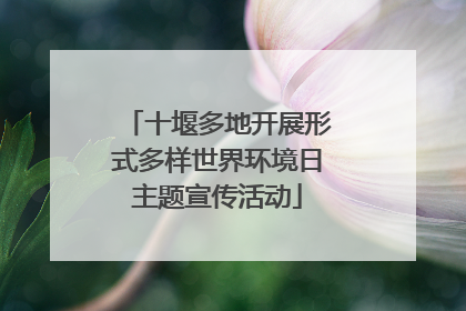 十堰多地开展形式多样世界环境日主题宣传活动