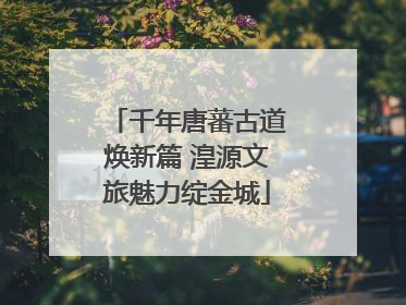 千年唐蕃古道焕新篇 湟源文旅魅力绽金城