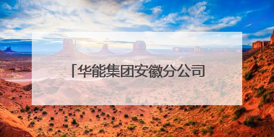 华能集团安徽分公司党委书记马冰武履新华电集团副总经理