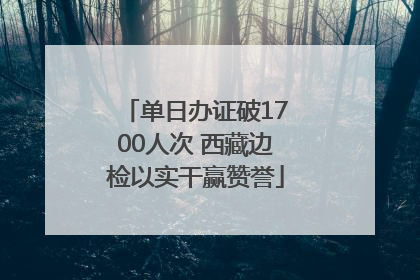 单日办证破1700人次 西藏边检以实干赢赞誉