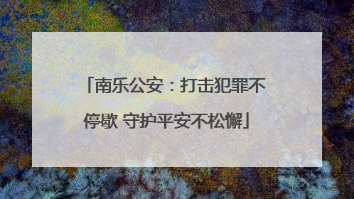 南乐公安：打击犯罪不停歇 守护平安不松懈