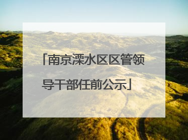 南京溧水区区管领导干部任前公示