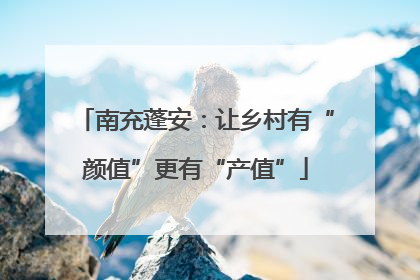南充蓬安：让乡村有“颜值”更有“产值”