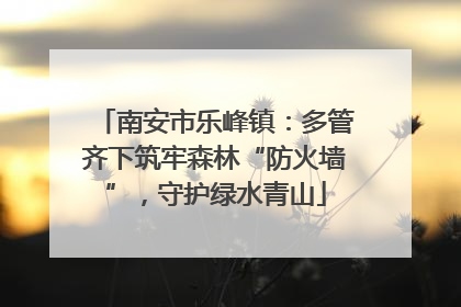 南安市乐峰镇：多管齐下筑牢森林“防火墙”，守护绿水青山