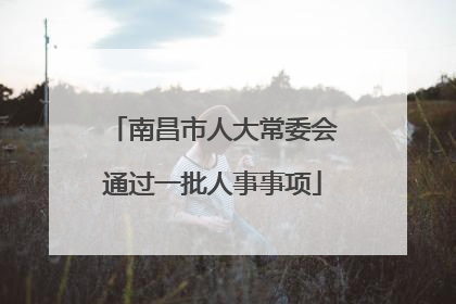 南昌市人大常委会通过一批人事事项