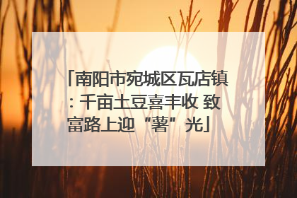 南阳市宛城区瓦店镇：千亩土豆喜丰收 致富路上迎“薯”光