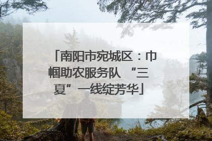 南阳市宛城区：巾帼助农服务队 “三夏”一线绽芳华