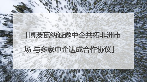 博茨瓦纳诚邀中企共拓非洲市场 与多家中企达成合作协议