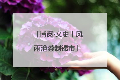 博阅·文史丨风雨沧桑制锦市