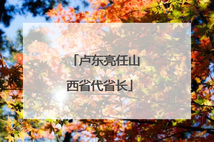 卢东亮任山西省代省长