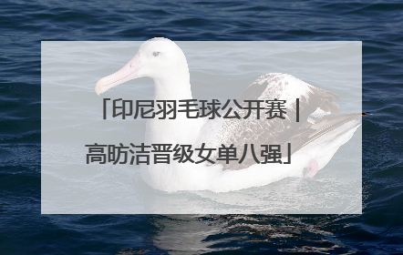 印尼羽毛球公开赛｜高昉洁晋级女单八强