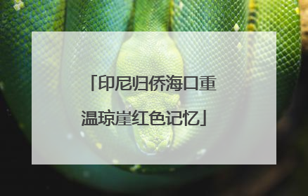 印尼归侨海口重温琼崖红色记忆