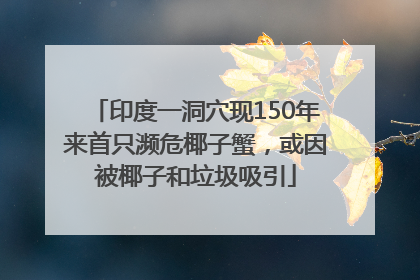 印度一洞穴现150年来首只濒危椰子蟹，或因被椰子和垃圾吸引