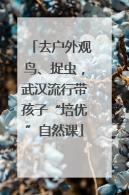 去户外观鸟、捉虫，武汉流行带孩子“培优”自然课