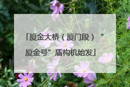 厦金大桥（厦门段）“厦金号”盾构机始发