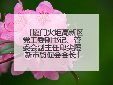 厦门火炬高新区党工委副书记、管委会副主任邱尖履新市贸促会会长