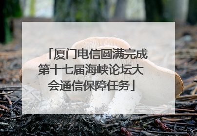 厦门电信圆满完成第十七届海峡论坛大会通信保障任务
