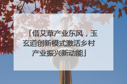 借艾草产业东风，玉玄道创新模式激活乡村产业振兴新动能