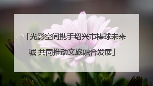 光影空间携手绍兴市棒球未来城 共同推动文旅融合发展