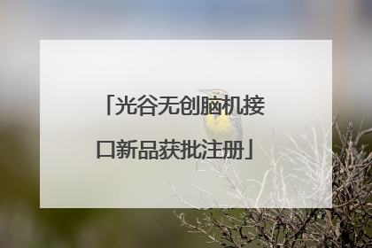 光谷无创脑机接口新品获批注册