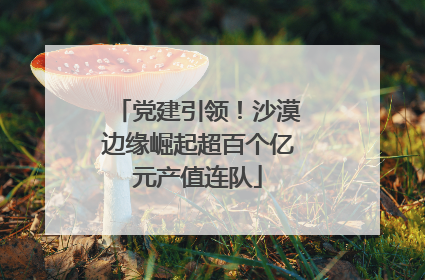 党建引领！沙漠边缘崛起超百个亿元产值连队