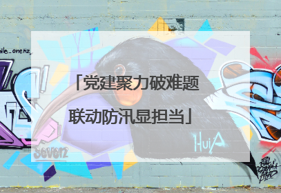 党建聚力破难题 联动防汛显担当