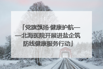 党旗飘扬·健康护航——北海医院开展进盐企筑防线健康服务行动