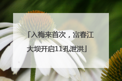 入梅来首次，富春江大坝开启11孔泄洪