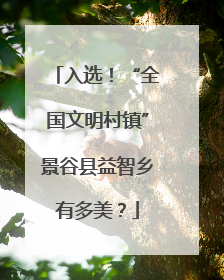 入选！“全国文明村镇”景谷县益智乡有多美？