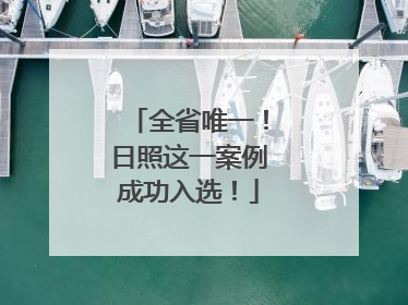 全省唯一！日照这一案例成功入选！