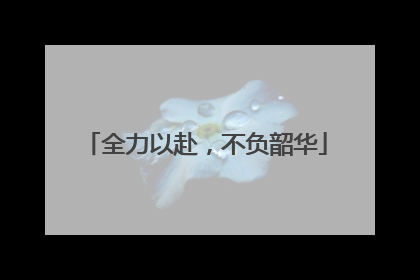 全力以赴，不负韶华