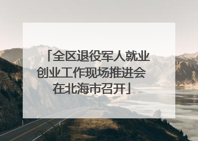 全区退役军人就业创业工作现场推进会在北海市召开
