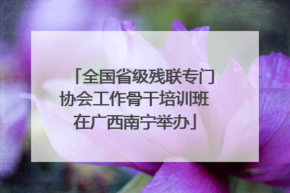 全国省级残联专门协会工作骨干培训班在广西南宁举办