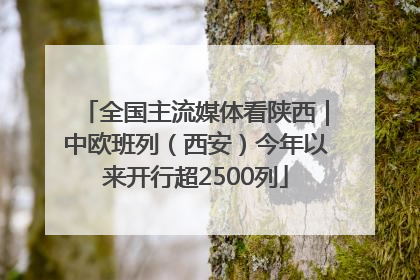 全国主流媒体看陕西｜中欧班列（西安）今年以来开行超2500列