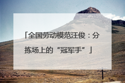 全国劳动模范汪俊：分拣场上的“冠军手”